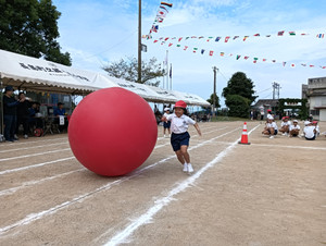 Img20261004092355